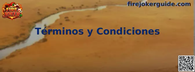 Términos y Condiciones de Fire Joker